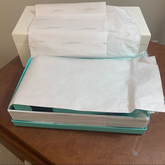 Tiffany & Co. Cashmere and Silk Scarf - New - Picture 12 of 12